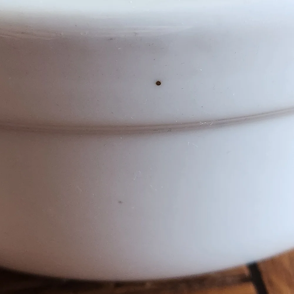 VTG Williams Sonoma White Heavy Stoneware Bowls — Set of 2 (6¾